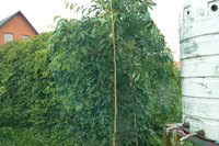 P1220019.JPG