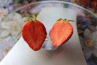 IMG_5619.jpg