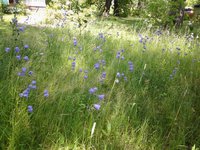 20160625_133927(1).jpg