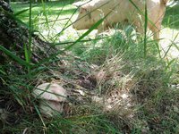 20160625_133607(1).jpg