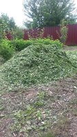 Ветки превратились в щепу.