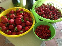 IMG_3711.jpg