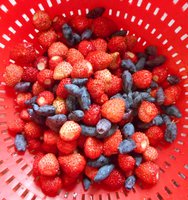 DSCN0125mG.jpg