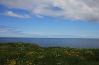 IMG_1495.JPG