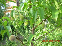 DSCN1239.JPG