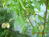 DSCN1240.JPG