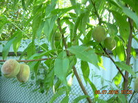 DSCN1244.JPG