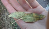 20160702_115856.jpg