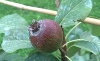 IMG_4589.JPG