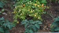 DSC06656к.jpg
