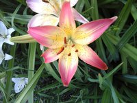 20160706_073006.jpg