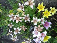 20160706_072654.jpg