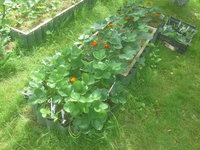 20160706_124826.jpg