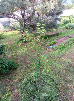 P60711-191456.jpg