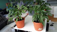 20160712_155248.jpg