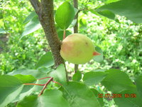 DSCN1272.JPG