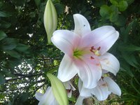 20160714_072922.jpg