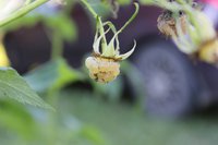 IMG_5868.jpg