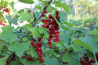 IMG_5864.jpg
