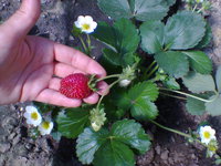 20160618-0005.jpeg