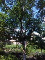 IMG_20160716_112126.jpg