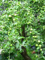 IMG_0878-1.jpg