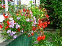 IMG_0886-1.jpg
