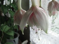 IMG_0888-1.jpg