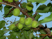 DSCN1285.JPG