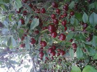 20160714_073632.jpg