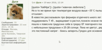 Цитируем выделенный текст