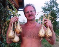 Лук.jpg