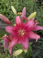 2016-07-07 15-44-21.JPG