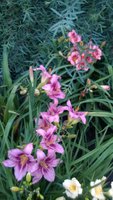 WP_20160720_013.jpg