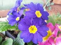 2012-01-28 14.45.25.jpg