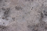 IMG_6027.jpg