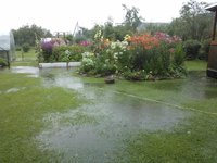 2016-07-23 18-26-47-min.JPG