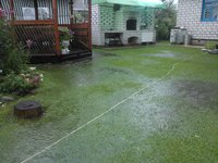 2016-07-23 18-27-31-min.JPG