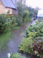 2016-07-23 18-27-56-min.JPG