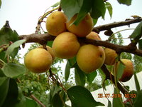 DSCN1292.JPG
