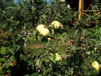 IMG_20160731_100543.jpg
