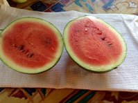 image.jpeg