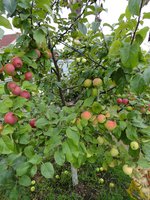 DSC05129-01.jpg