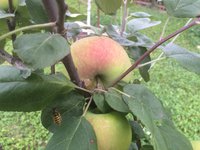 IMG_4884.JPG
