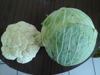 20160802_115608.jpg