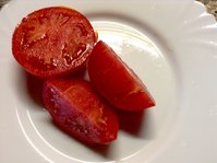 Западная Вирджиния