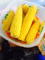 image.jpeg