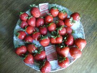 20160806_154417 копия.jpg