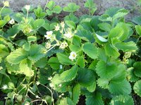 20160804_075127.jpg