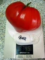 IMG_1179.JPG